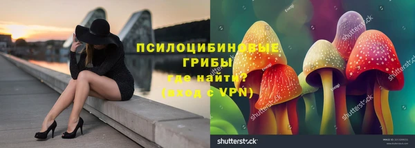 прущий лед Арсеньев