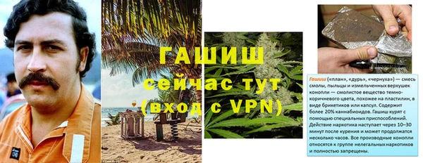 гашик Аркадак